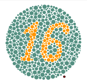 Adult test plate - Answer: 16