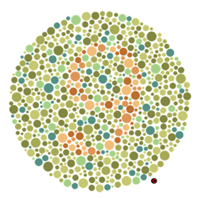 Adult test plate - Answer: 9