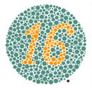 Adult test plate - Answer: 16